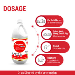 Amyron Vet Syrup