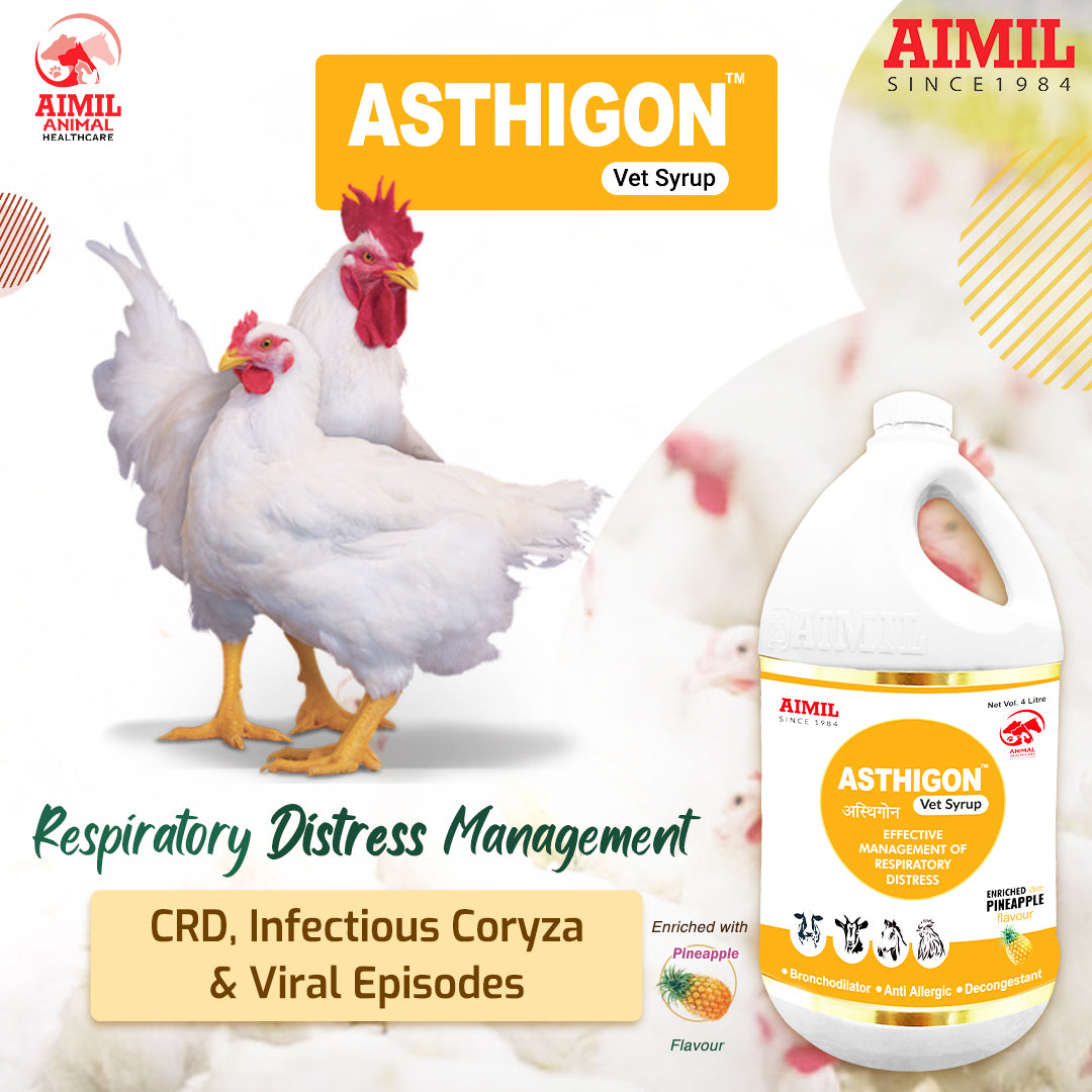 Asthigon Vet Syrup (P)