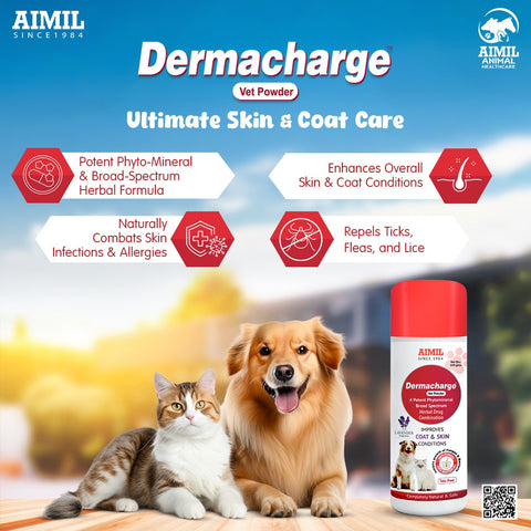 Dermacharge Vet Powder 100gm