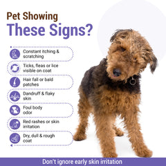 Wuffs-EP Pet Shampoo 200ml