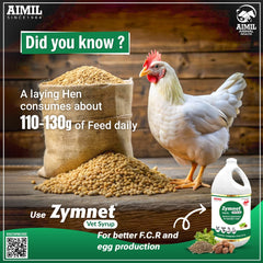 Zymnet Vet Syrup (P)
