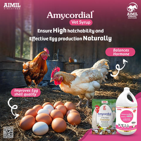 Amycordial Vet Syrup (P)