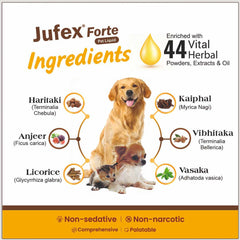 Jufex Forte Pet Liquid 100ml